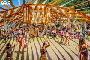 Visit Earthdance.org