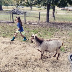 Farm sitting Franklin TN