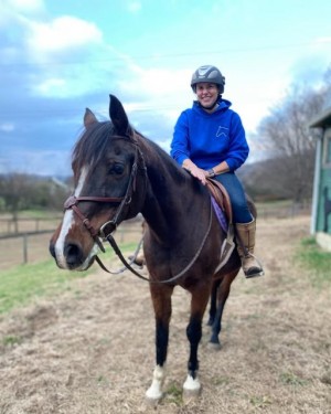Horse boarding bellevue tn