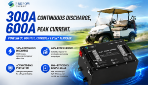 LiFePO4 Engineering for Golf Cart Performance