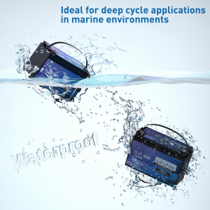 Marine IP67 Waterproofing and Anti Corrosion Engineering