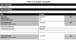Best Singapore ERP itemised payslip