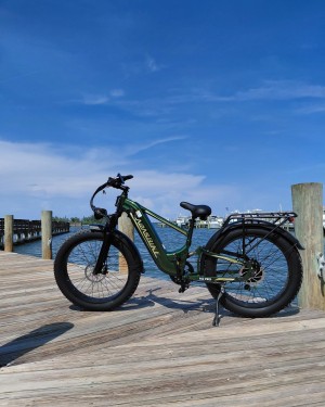 best electric bikes