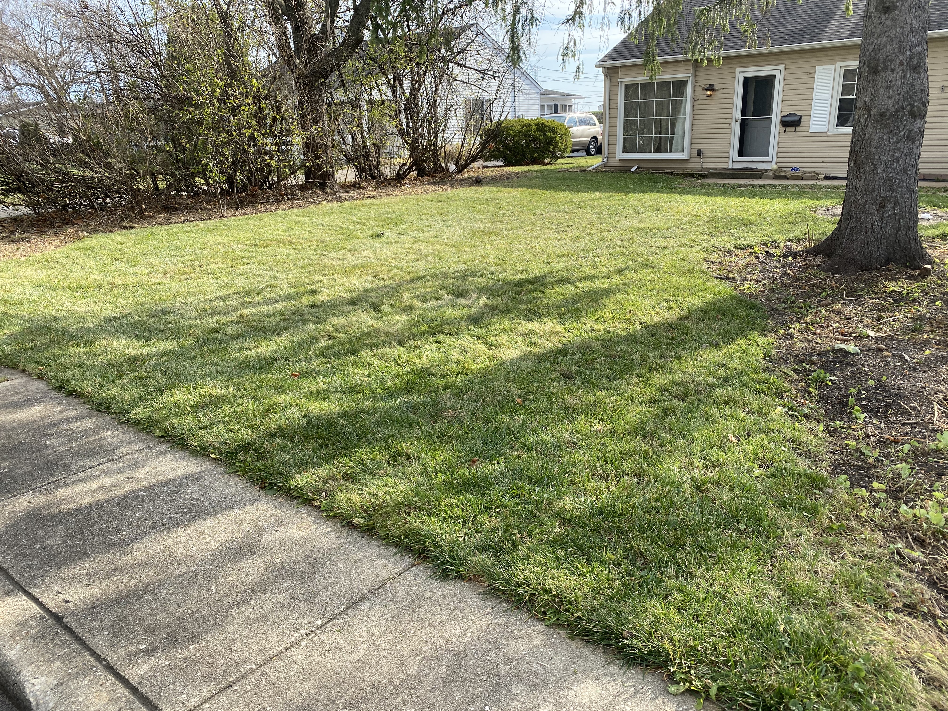 Libertyville Leaf Removal Service Company Libertyville Leaf Removal Service Company