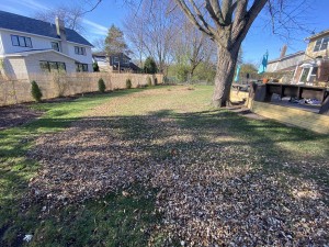 Leaf Blowing Service Near Me Libertyville Illinois 60048