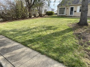 Libertyville Leaf Removal Service Company