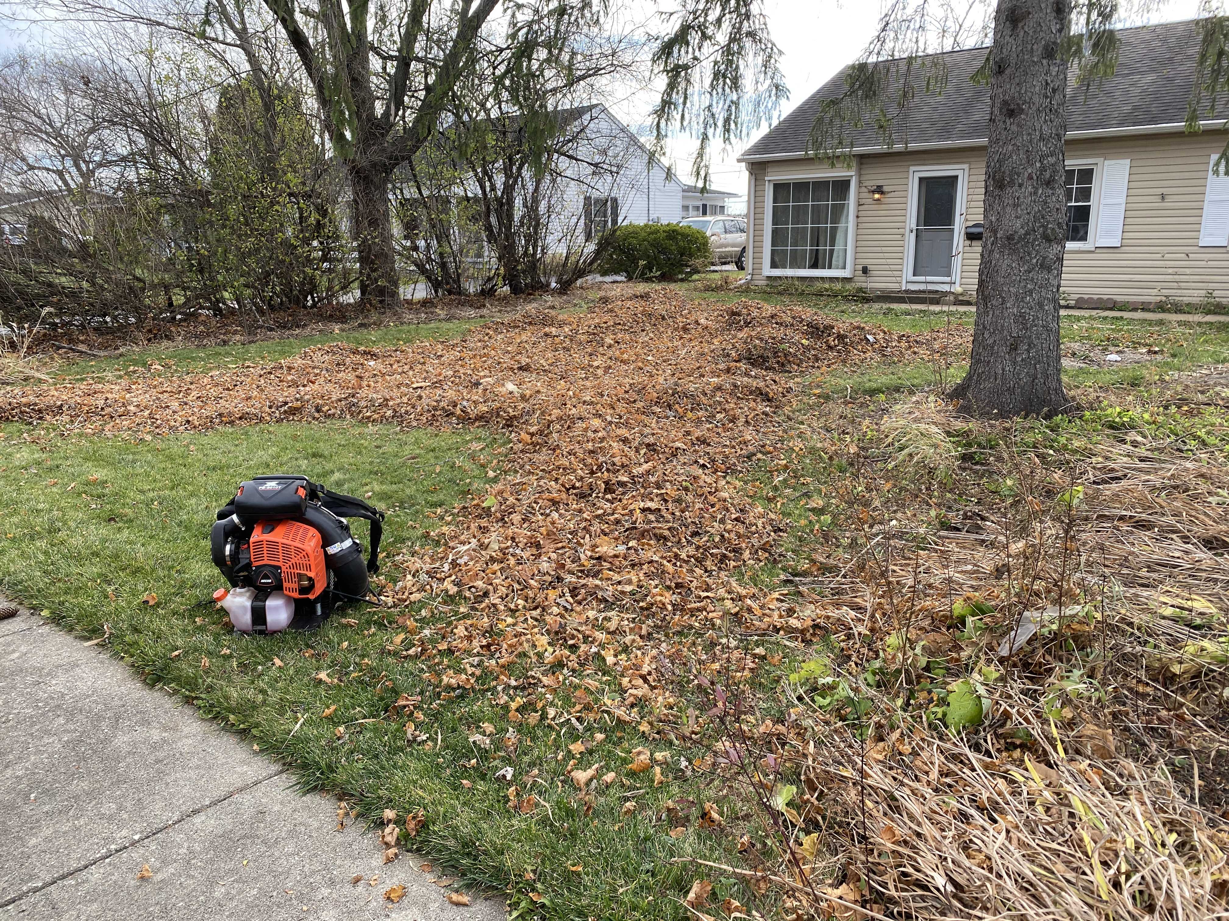 Weekly Leaf Removal Service In Libertyville Illinois Weekly Leaf Removal Service In Libertyville Illinois
