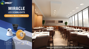 MIRACLE LED DOWNLIGHTS
