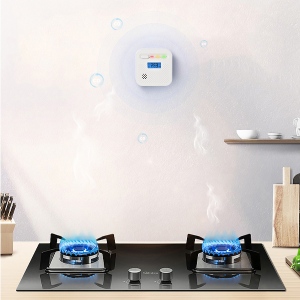 Top 10 Brands of Carbon Monoxide Alarm in China