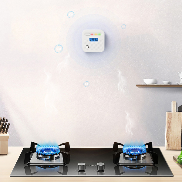 Top 10 Brands of Carbon Monoxide Alarm in China