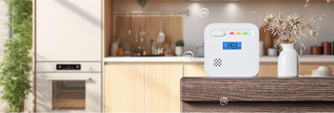 High Quality CO Alarm Solutions Provider High Quality CO Alarm Solutions Provider