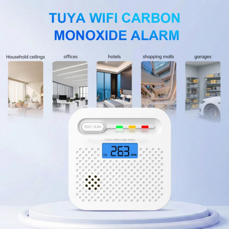 Global Leading CO Alarm