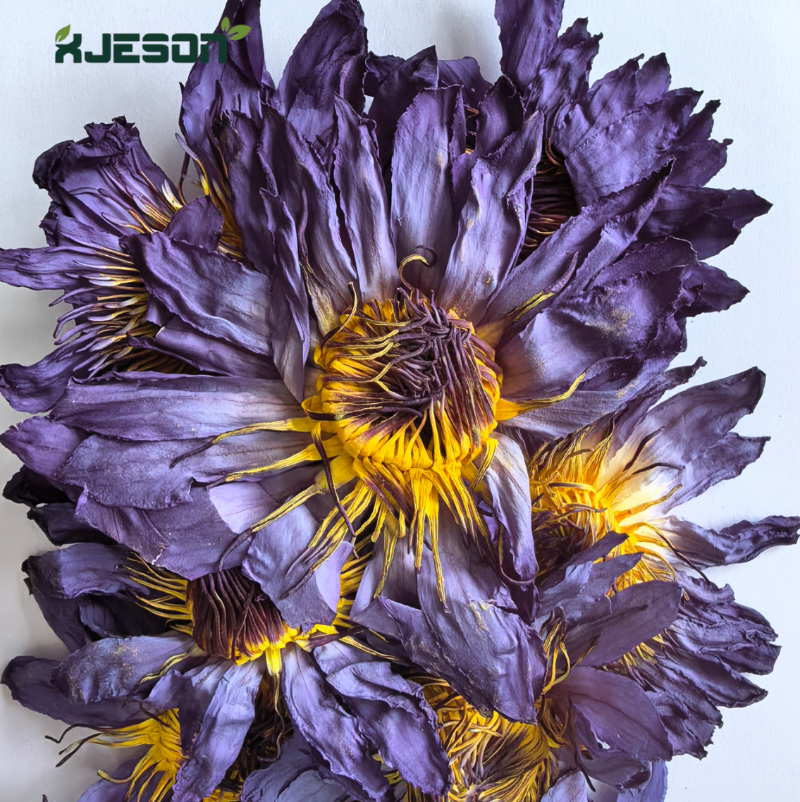 Dried Blue Lotus Flower Dried Blue Lotus Flower