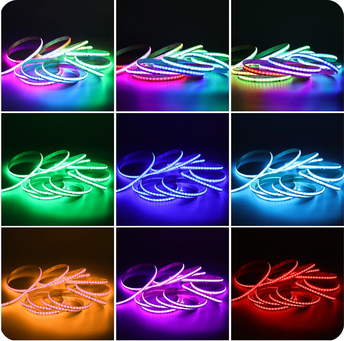 SignliteLED Addressable RGBIC COB LED Strip Showing Dynamic Color Effects SignliteLED Addressable RGBIC COB LED Strip Showing Dynamic Color Effects