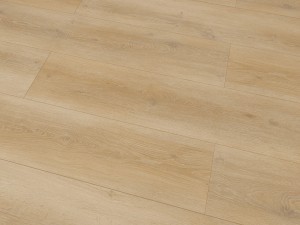 New Stone SWF Flooring Light Wood Installed Surface