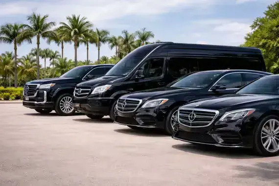 spring car service luxury spring car service luxury