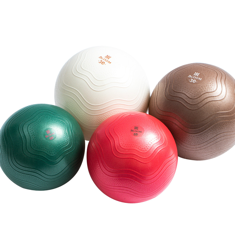 PVC Customised pilates Stability Exercise Ball PVC Customised pilates Stability Exercise Ball