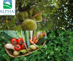 The Alphas Produce Company Weston MA – Providing the best quality fruits & vegetables.