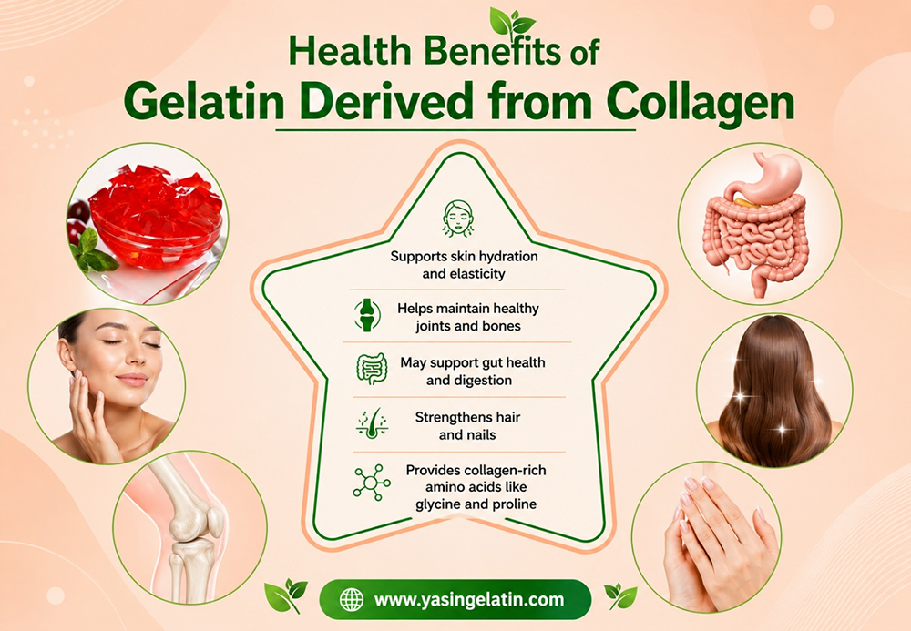 Collagen structure in gelatin 1