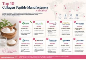 Top Collagen Peptide Manufacturers 1