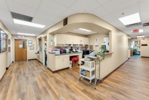 dr christopher r deangelis internal medicine specialist