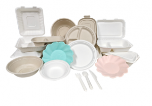 Global Leading Manufacturer of Eco Friendly Tableware