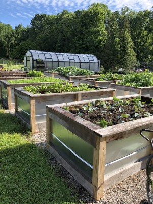 Window to garden to table