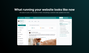 forxample What running your website looks like now