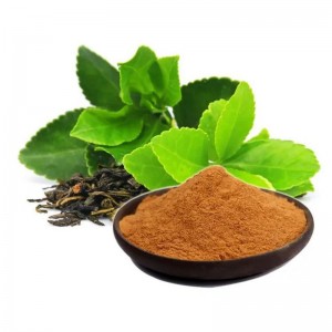 Green Tea Extract 1