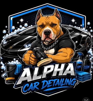 Alpha Car Detailing In Des Plaines, Illinois | Interior & Exterior Service