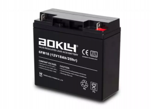 AGM Battery