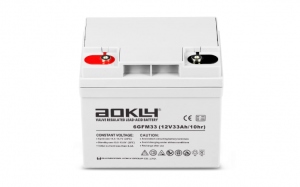 UPS Battery Brand