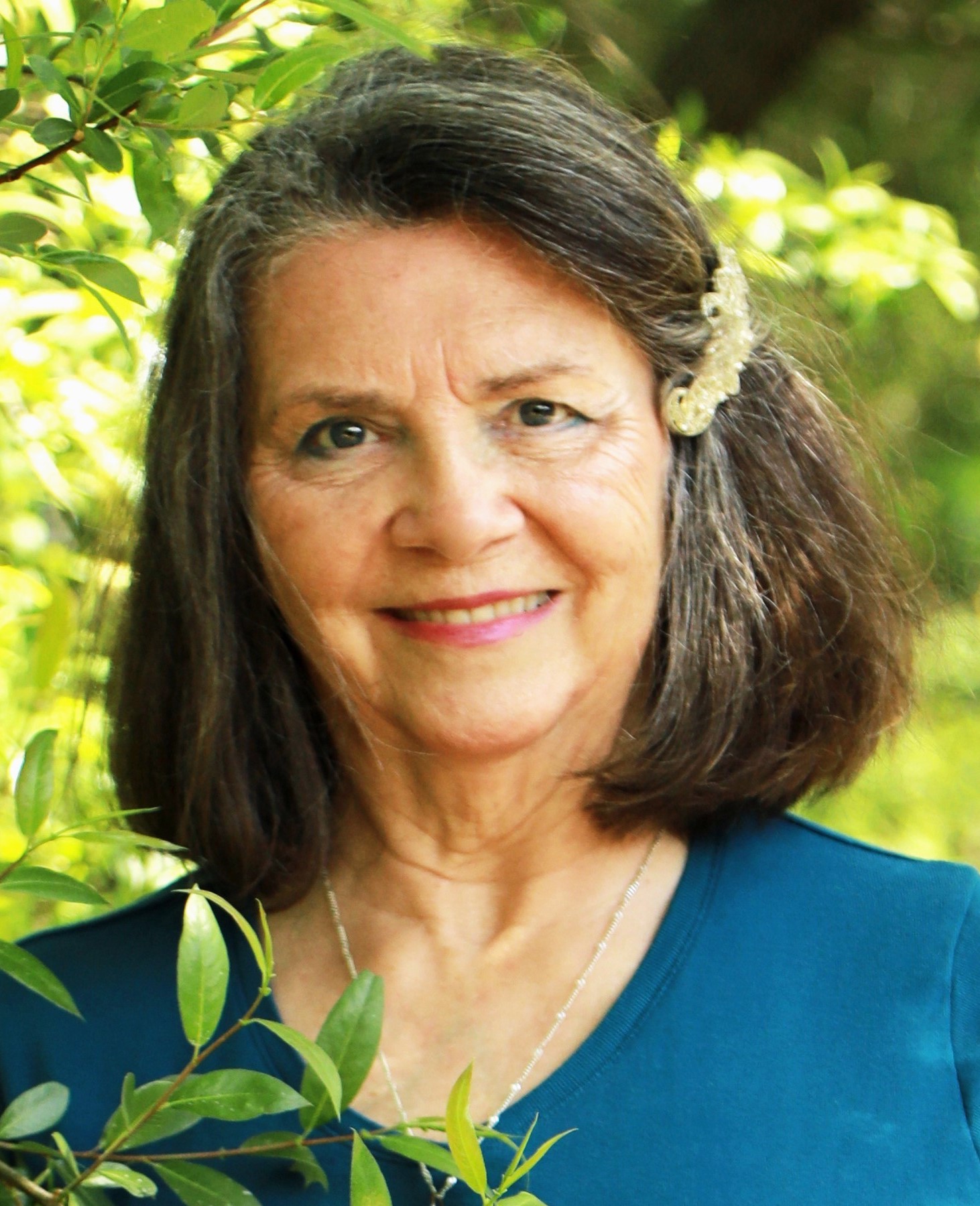 The Author Brenda L Balding RN MA The Author Brenda L Balding RN MA