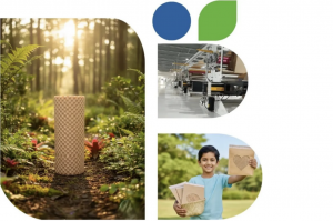 Buyer’s Handbook: Finding a Certified Paper Void Fill Machine Provider in China for Eco-Conscious Brands | HJ Machinery