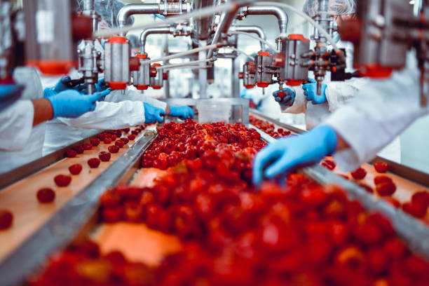 BOWE PACK Elevates Global Food Packaging Standards with Next-Generation Custom Flat Bottom Pouches