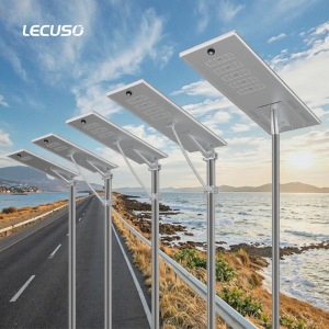 China Top Integrated Solar Street Light Manufacturer