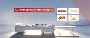 Fushida Premium Full Range Food Machinery Manufacturer