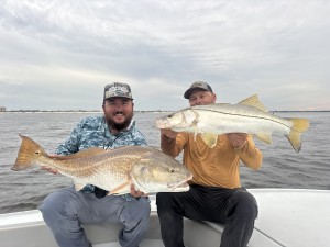 IMG 1473 scaled