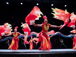 The Fire Phoenix rises in flames symbolizing the burning away of darkness and wrongdoing.