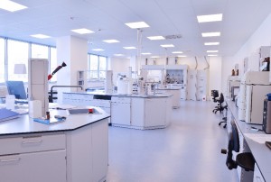 End to End Drug Development