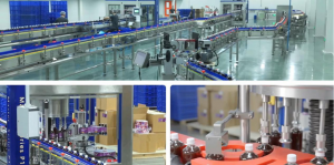 Global Leading Convenience Store Snack Supplier