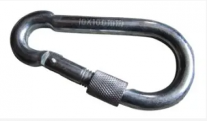 Stainless Steel 304 Spring Snap Hook Carabiner with Screw Lock