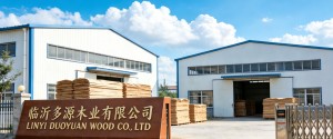 China Top Wood Veneer Sheet Manufacturer