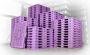 Plastic Pallets for Hygiene Sensitive Operations