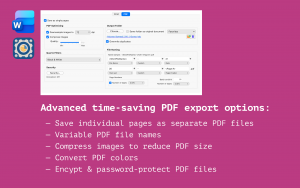Advanced PDF export options for Word documents