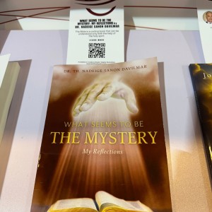 What Seems to Be the Mystery by Dr. Nadeige Sanon Davilmar
