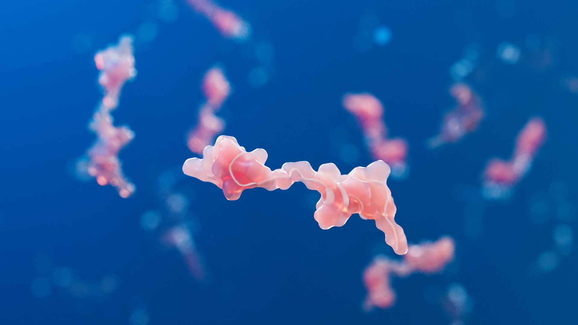 polypeptide polypeptide