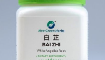 China Suppliers Factory Single Herb Granules White Angelica Root