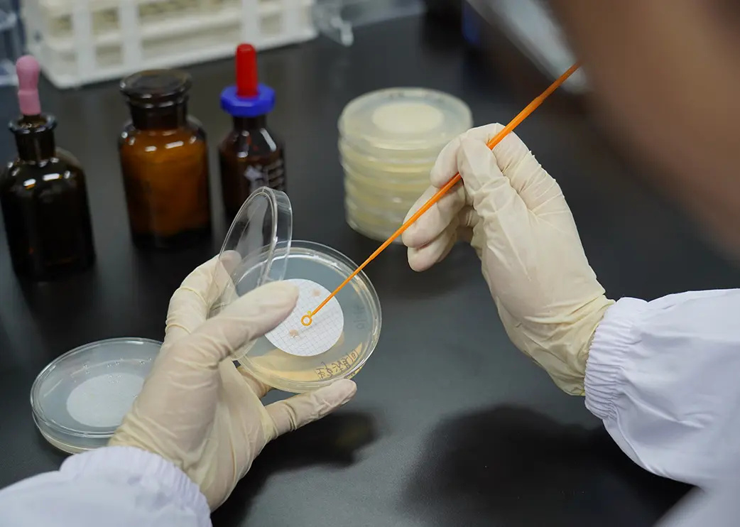 Microbiological Laboratory Testing For Maternal And Infant Products