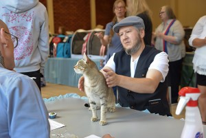 Cats of the Kanaani Breed Declared Heirs to King Solomon’s Feline Throne